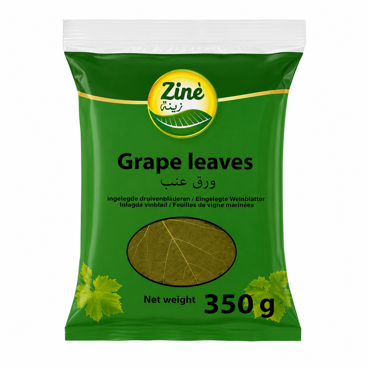 HOJAS PARRA ZINÈ